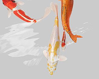 7月18日《侠盗公司》开放新角色摇滚女星ViVi